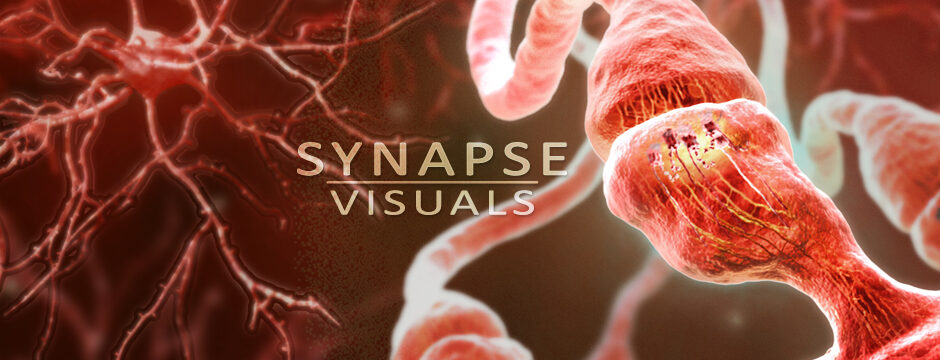 Synapse Rudakewich slider