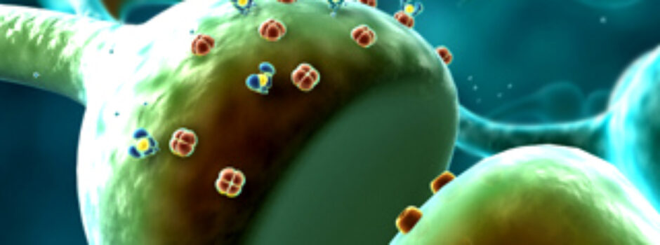 Medical Animation Calcium Channel Blockers